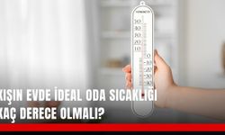Kışın evde ideal oda sıcaklığı kaç derece olmalı?