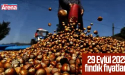 29 Eylül 2025 fındık fiyatları