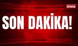 Samsun’da salatalık serasında kenevir yetiştiren şüpheli yakalandı