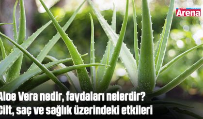 Aloe Vera nedir, faydaları nelerdir? Cilt, saç ve sağlık üzerindeki etkileri