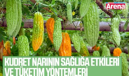 Kudret narının sağlığa etkileri ve tüketim yöntemleri