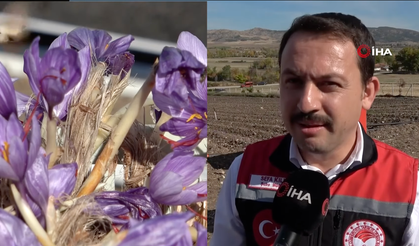 Dünyanın en pahalı baharatı safranın 1 gramı 500 TL