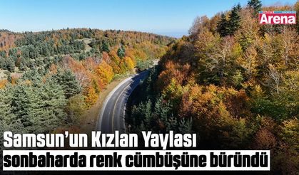 Kızlan Yaylası'nda sonbahar renkleri
