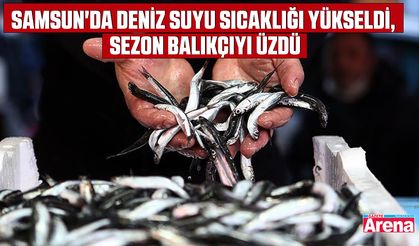 Samsun'da deniz suyu sıcaklığı yükseldi, sezon balıkçıyı üzdü