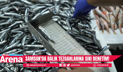 Samsun’da balık tezgahlarına sıkı denetim yapıldı