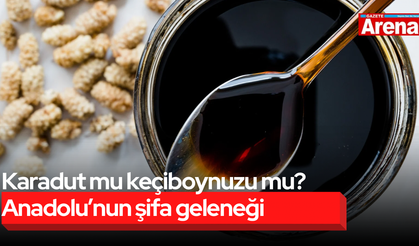 Karadut mu keçiboynuzu mu? Anadolu’nun şifa geleneği
