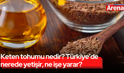 Keten tohumu nedir? Türkiye’de nerede yetişir, ne işe yarar?