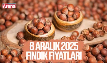8 Aralık 2025 fındık fiyatları açıklandı: İl il güncel liste