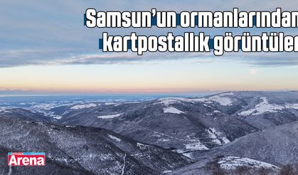 Samsun’un ormanlarından kartpostallık görüntüler