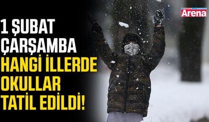 11 Şubat Çarşamba bu ilde okullar tatil edildi!