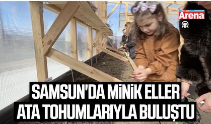 Samsun'da minik eller ata tohumlarıyla buluştu