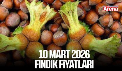 10 Mart 2026 güncel fındık fiyatları