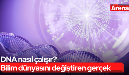 DNA nasıl çalışır? Bilim dünyasını değiştiren gerçek