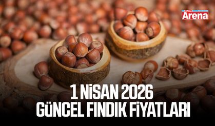 1 Nisan 2026 güncel fındık fiyatları