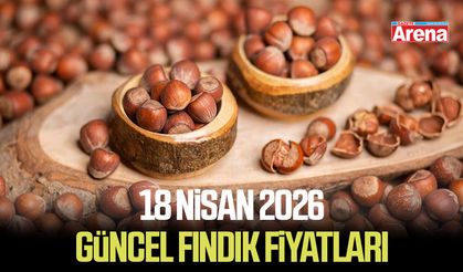 18 Nisan 2026 güncel fındık fiyatları
