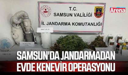 Samsun'da jandarmadan evde kenevir operasyonu