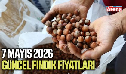 7 Mayıs 2026 güncel fındık fiyatları