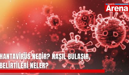 Hantavirüs nedir? Nasıl bulaşır, belirtileri neler?