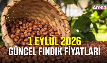 1 Eylül 2026 güncel fındık fiyatları