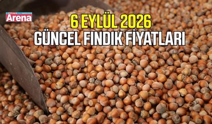 6 Eylül 2026 güncel fındık fiyatları