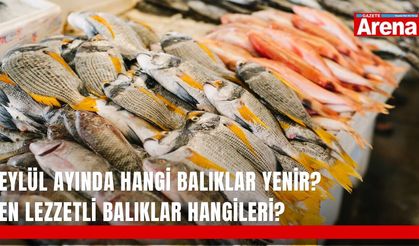 Eylül ayında hangi balıklar yenir? En lezzetli balıklar hangileri?