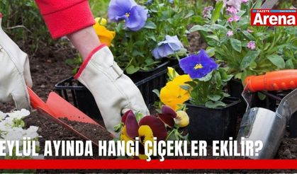 Eylül ayında hangi çiçekler ekilir?