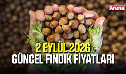 2 Eylül 2026 güncel fındık fiyatları