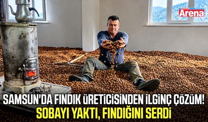 Samsun'da yağmur fındık üreticisini çaresiz bıraktı!