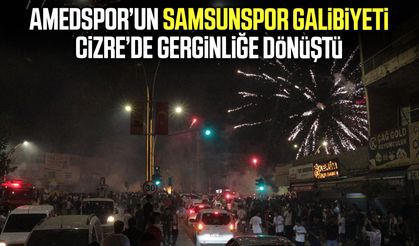 Amedspor’un Samsunspor galibiyeti Cizre’de gerginliğe dönüştü