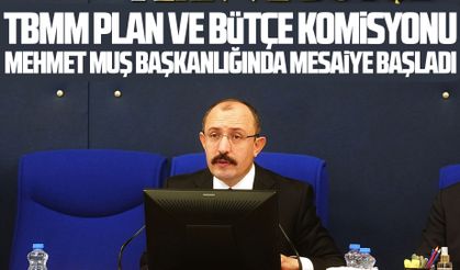 TBMM Plan ve Bütçe Komisyonu Mehmet Muş başkanlığında mesaiye başladı