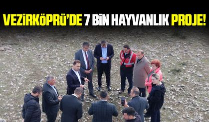 Vezirköprü’ye 7 bin büyükbaş hayvan kapasiteli besi bölgesi