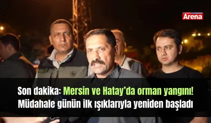 Son dakika: Mersin ve Hatay’da orman yangını! Müdahale günün ilk ışıklarıyla yeniden başladı