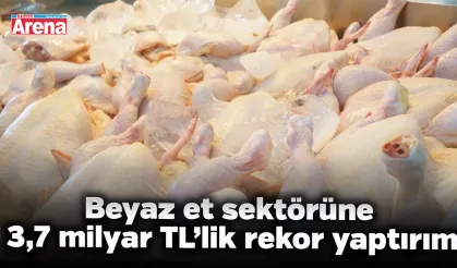 Beyaz et sektörüne 3,7 milyar TL’lik rekor yaptırım