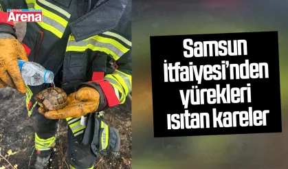 Samsun İtfaiyesi, yangından etkilenen kaplumbağayı doğaya bıraktı