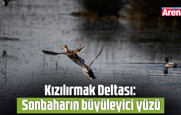 Kızılırmak Deltası: Sonbaharın büyüleyici yüzü