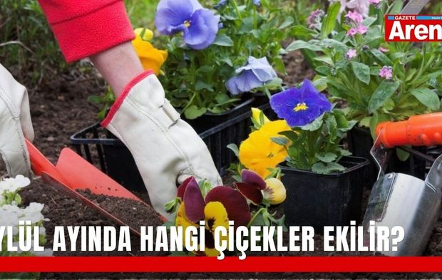 Eylül ayında hangi çiçekler ekilir?