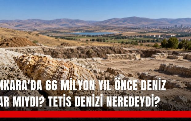 Ankara'da 66 milyon yıl önce deniz var mıydı? Tetis Denizi neredeydi?