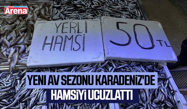 Yeni av sezonu Karadeniz'de hamsiyi ucuzlattı