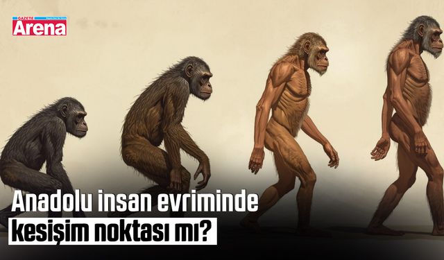 Anadolu insan evriminde kesişim noktası mı?