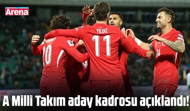 A Milli Takım kadrosu açıklandı