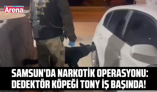 Samsun'da narkotik köpeği Tony bagajdaki uyuşturucuyu buldu