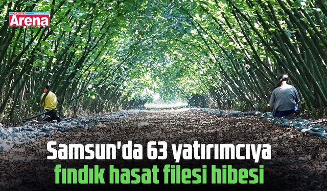 Samsun'da 63 yatırımcıya fındık hasat filesi hibesi