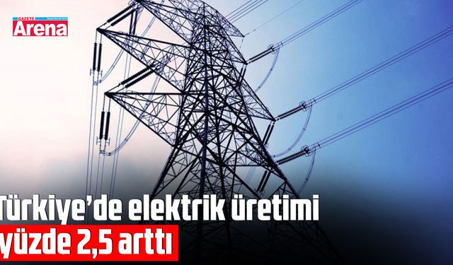 Türkiye’de elektrik üretimi yüzde 2,5 arttı