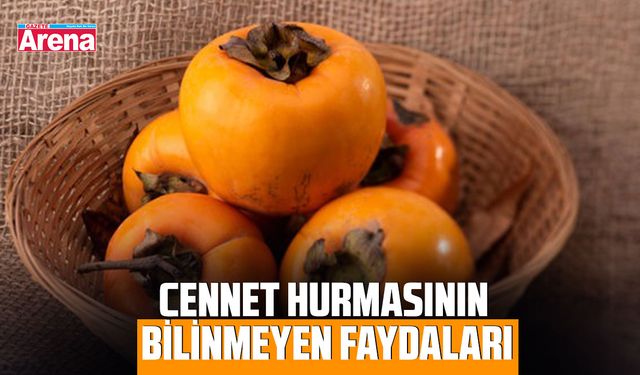 Cennet Hurmasının bilinmeyen faydaları