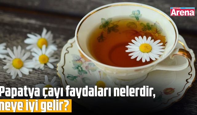 Papatya çayı faydaları nelerdir, neye iyi gelir?