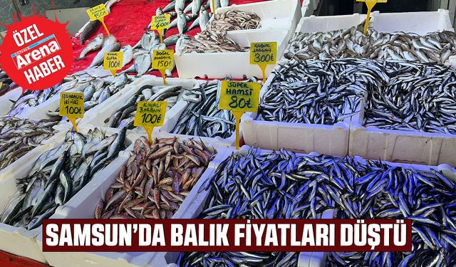 Samsun’da balık fiyatları düştü