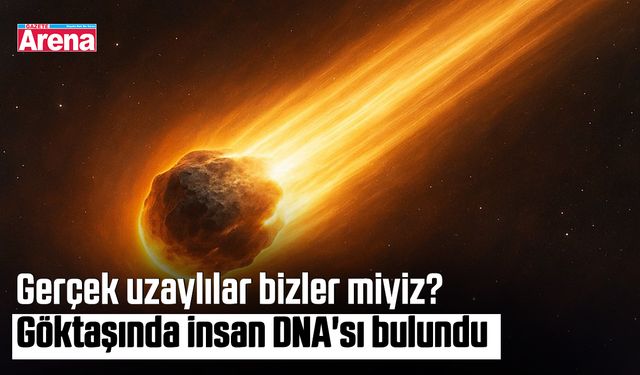 Gerçek uzaylılar bizler miyiz? Göktaşında insan DNA'sı