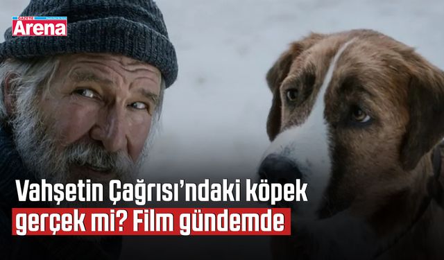Vahşetin Çağrısı’ndaki köpek gerçek mi? Film gündemde