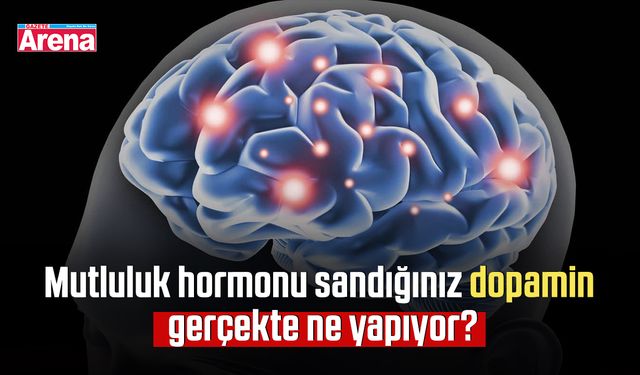 Mutluluk hormonu sandığınız dopamin gerçekte ne yapıyor?