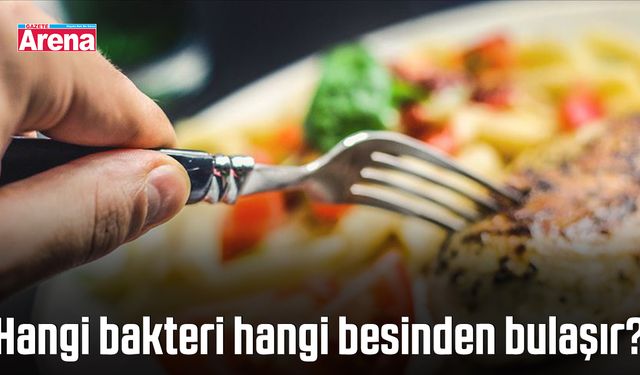 Hangi bakteri hangi besinden bulaşır?